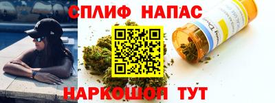 спайс Гагарин