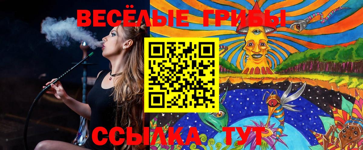 Псилоцибиновые грибы ЛСД Нижний Тагил