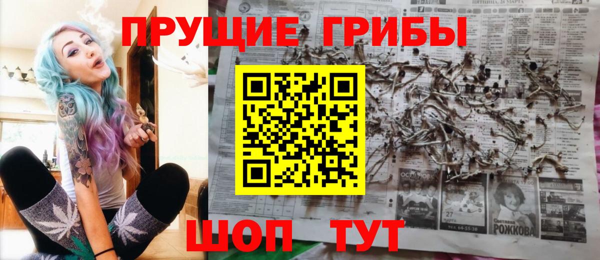 Нижний Тагил  Галлюциногенные грибы прущие грибы  Вход с VPN  Псилоцибиновые грибы Cubensis 